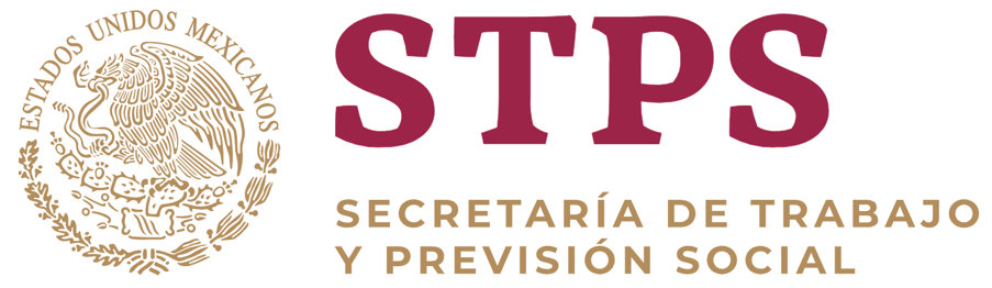 Capacitador Externo Registrado ante la STPS México